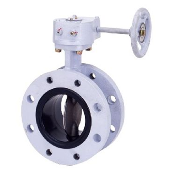 KITZ開滋閥門、雙偏心蝶閥B-10UHB-80A